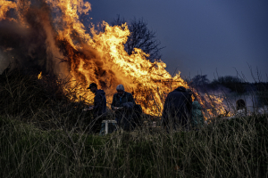 osterfeuer_2024_18_20240401_1384731606
