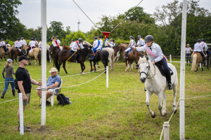 ringreiten_2025_13_20250617_1867127012