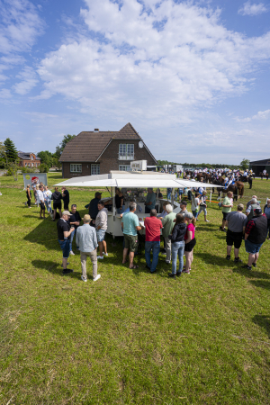 ringreiten_2025_25_20250617_1083700375