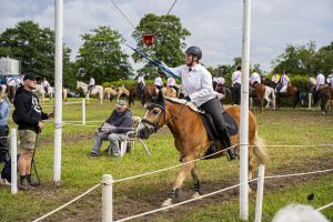 ringreiten_2025_39_20250617_1997372615