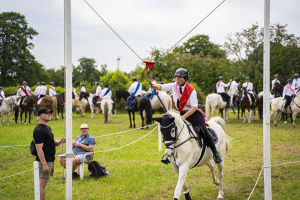 ringreiten_2025_9_20250617_1104148894